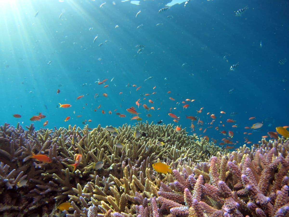 Lakshadweep, India
