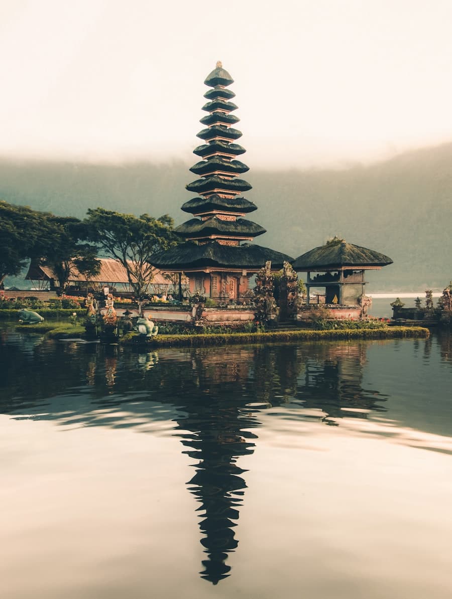 Ubud Rice Terraces, Bali, Indonesia