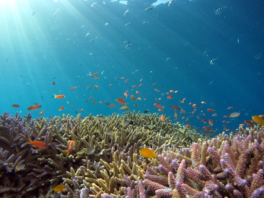 Agatti Lagoon, Lakshadweep, India
